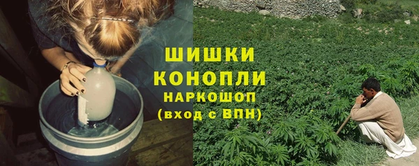 каннабис Богданович