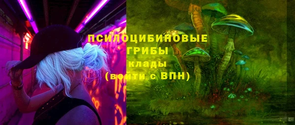 альфа пвп Бородино