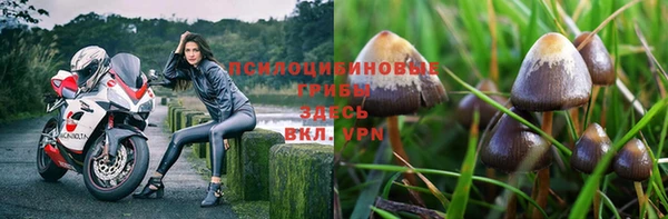 прущая мука Богородск