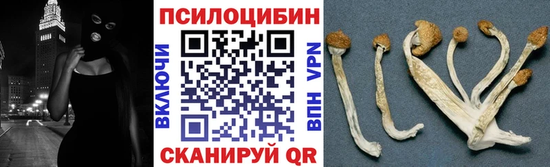 Псилоцибиновые грибы Cubensis  Вельск 